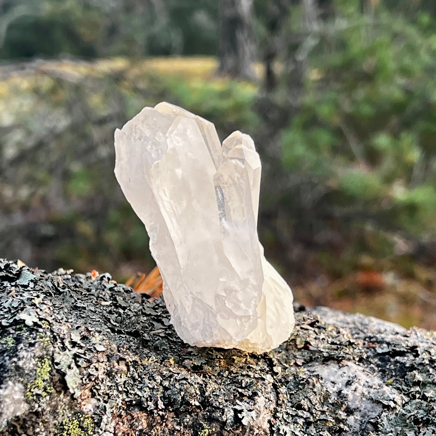 Clear Quartz Cluster