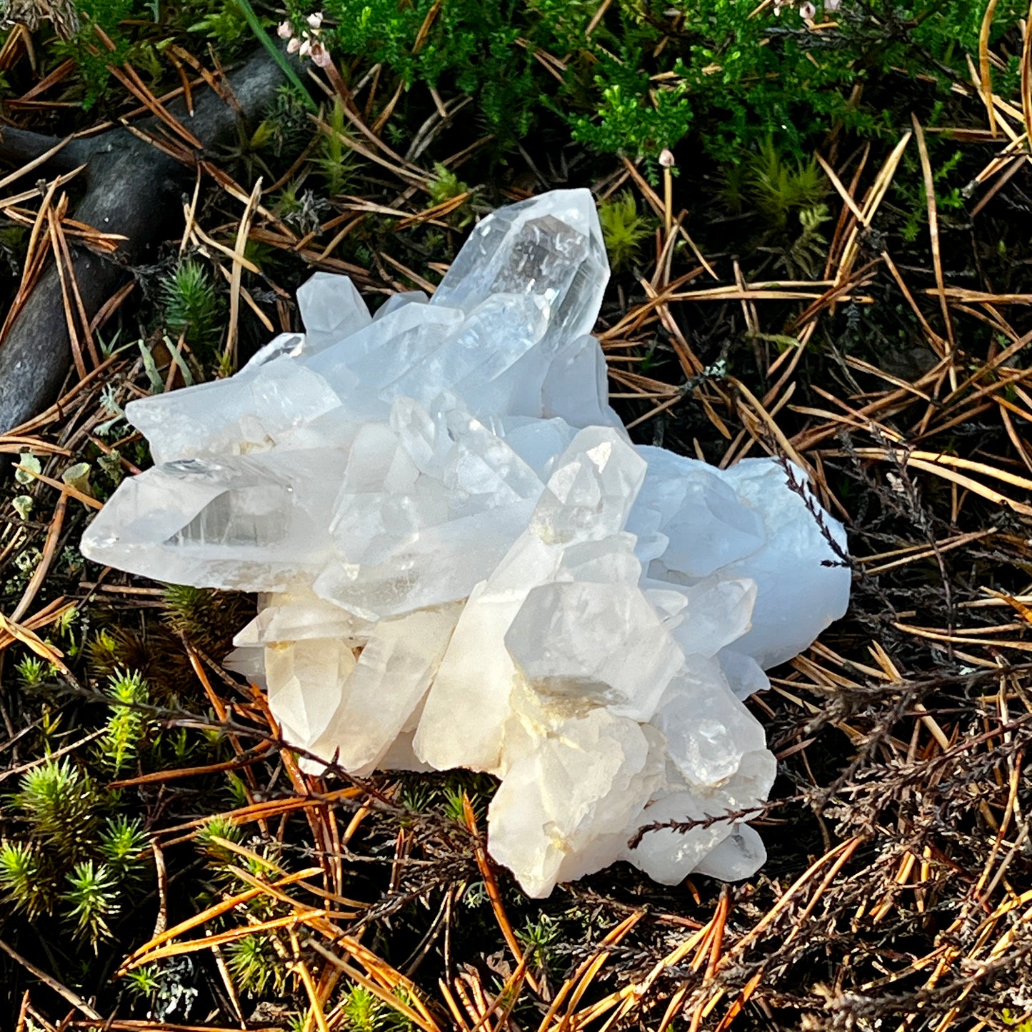 Clear Quartz Cluster