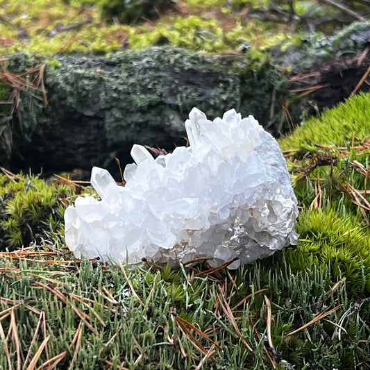 Clear Quartz Cluster