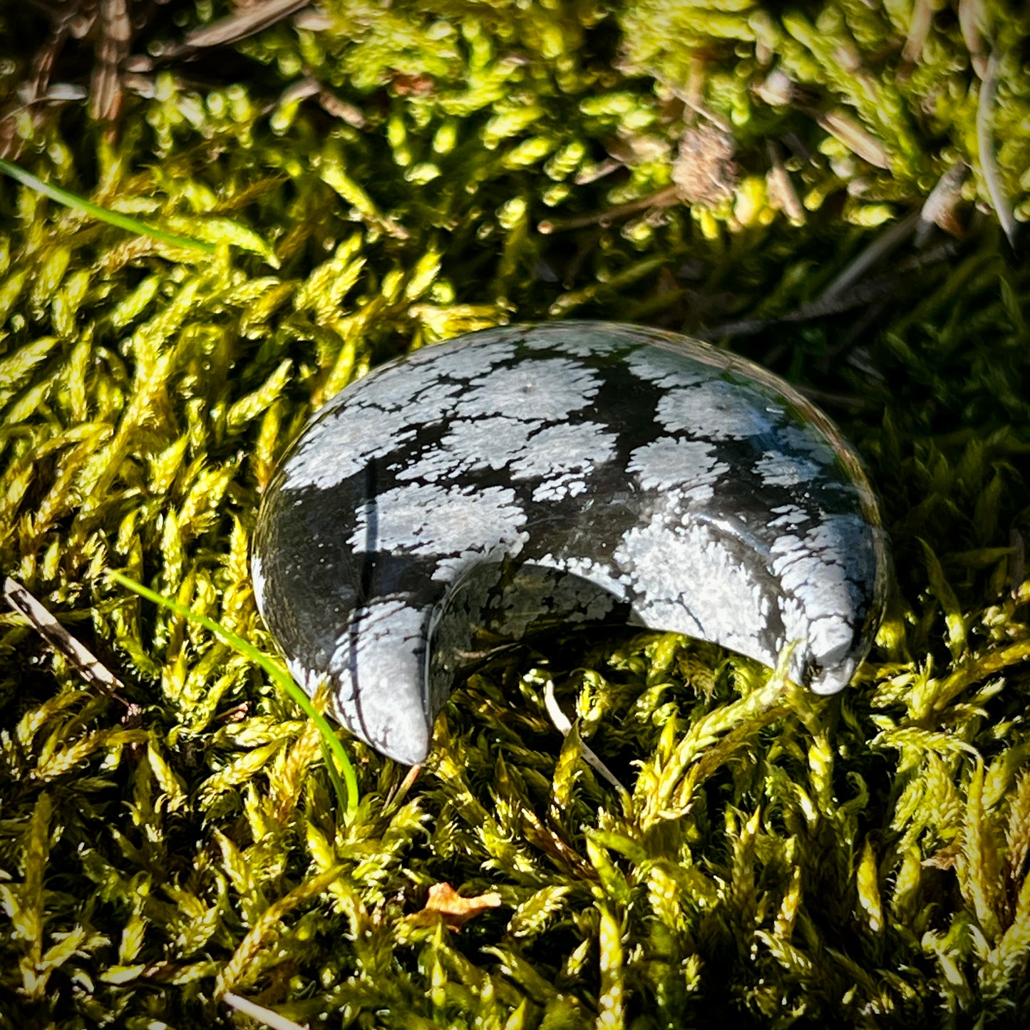 Snöflinge obsidian måne