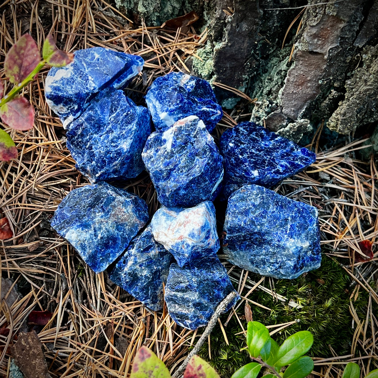 Sodalite, raw crystal