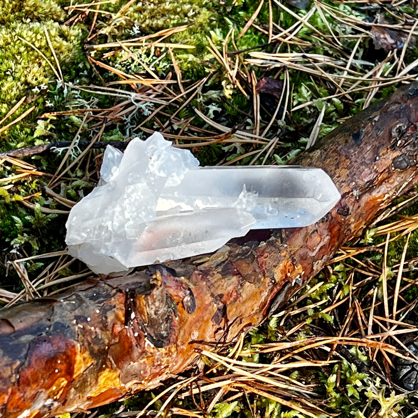 Clear Quartz Cluster