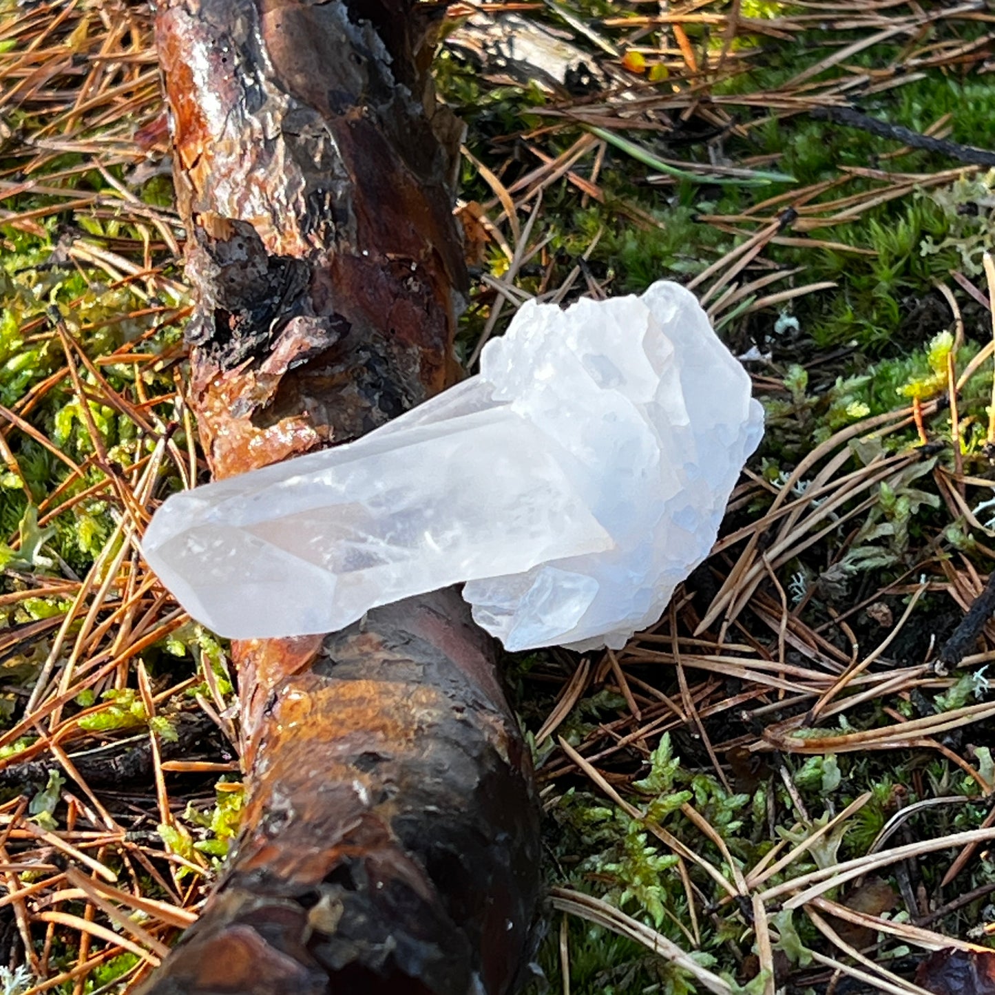 Clear Quartz Cluster