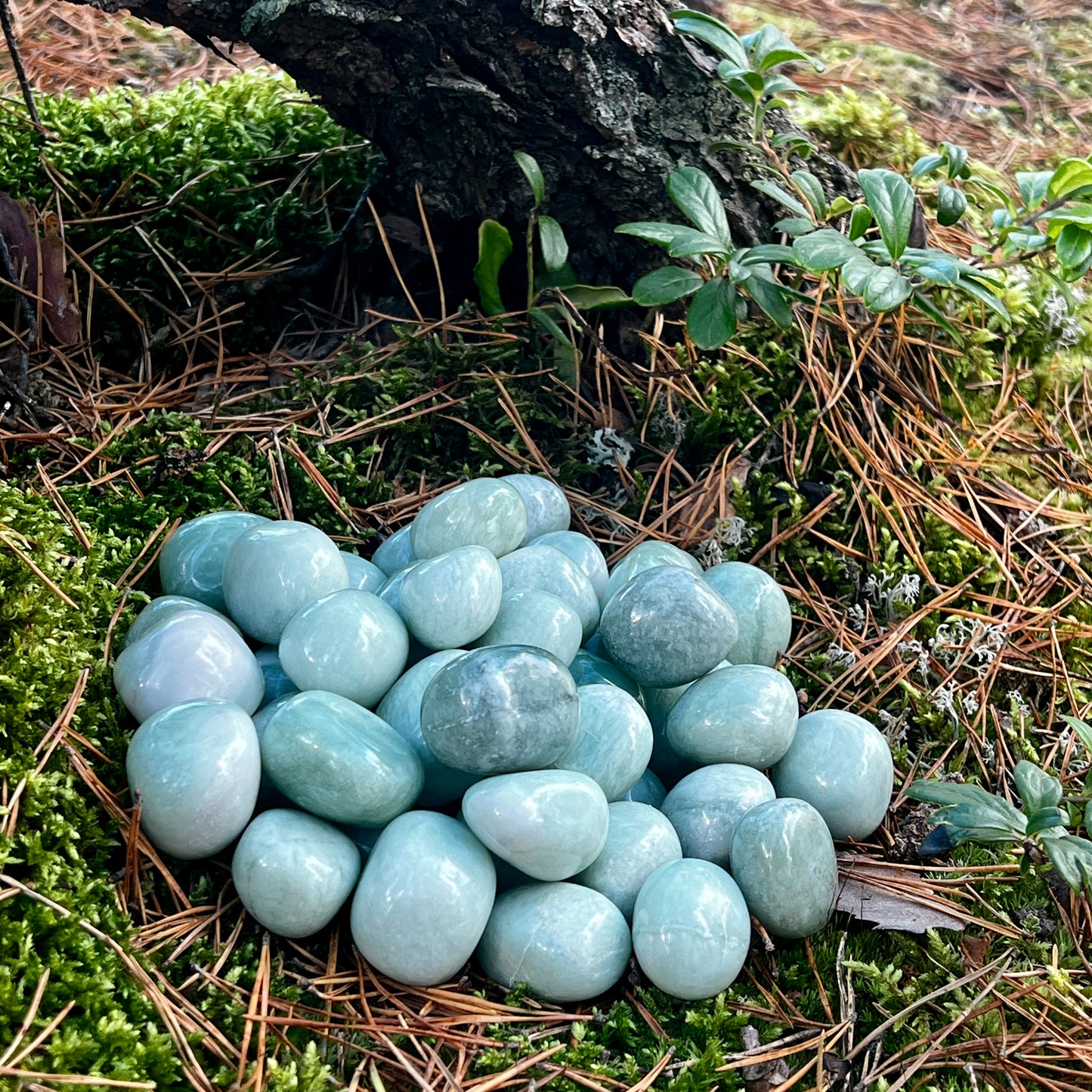 Green jade, tumbled