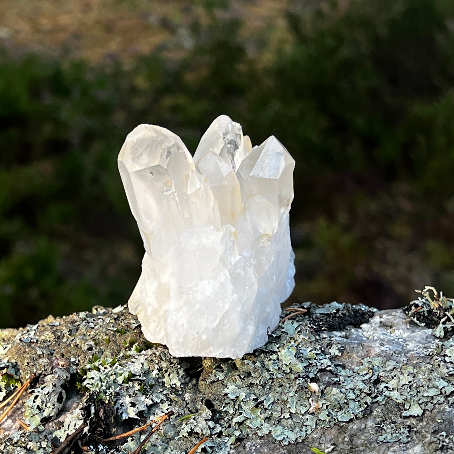 Clear Quartz Cluster