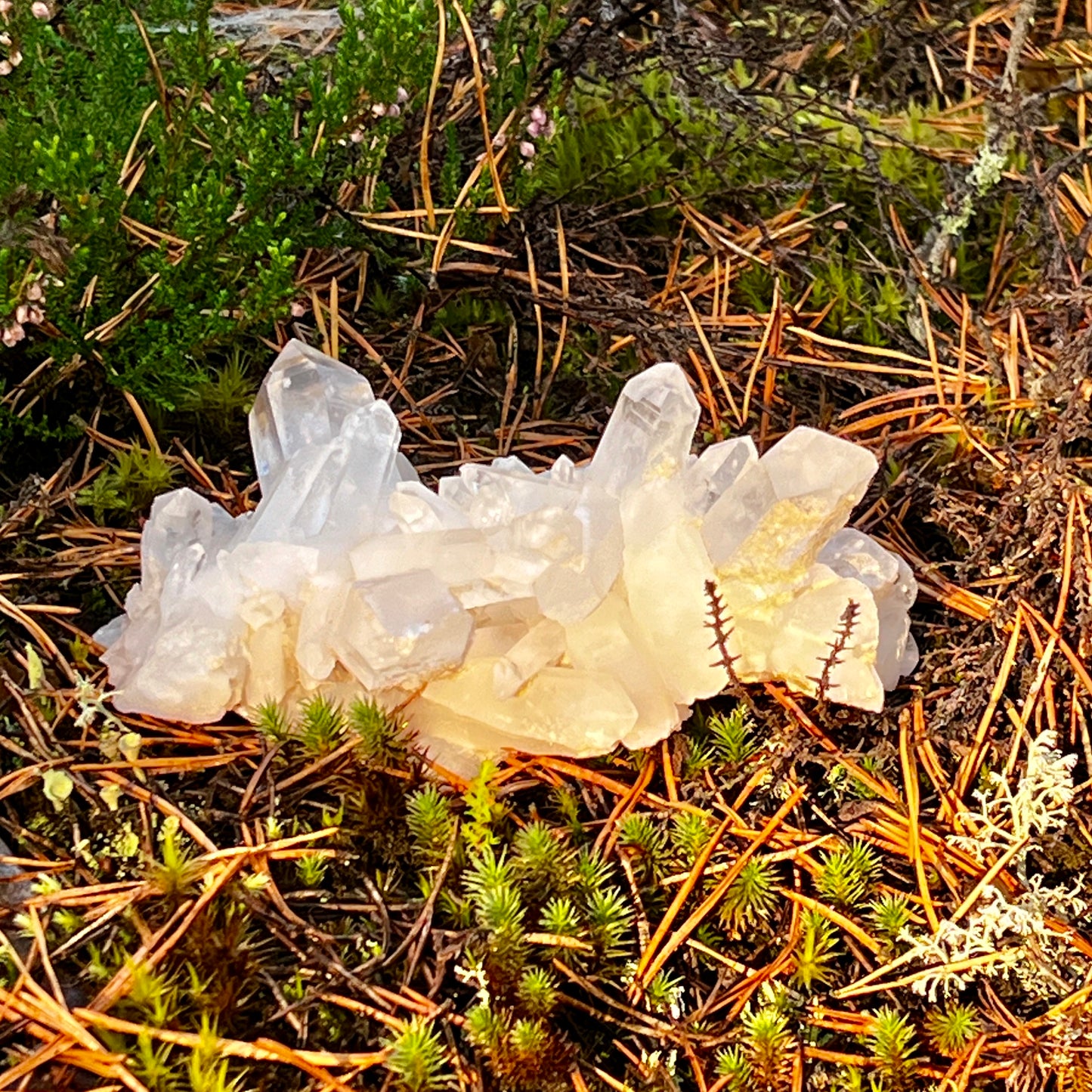 Clear Quartz Cluster