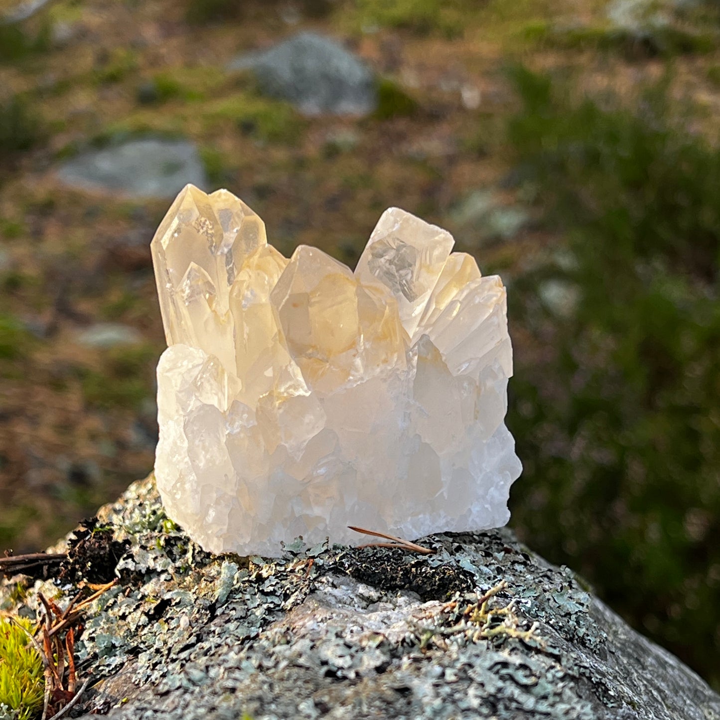 Clear Quartz Cluster