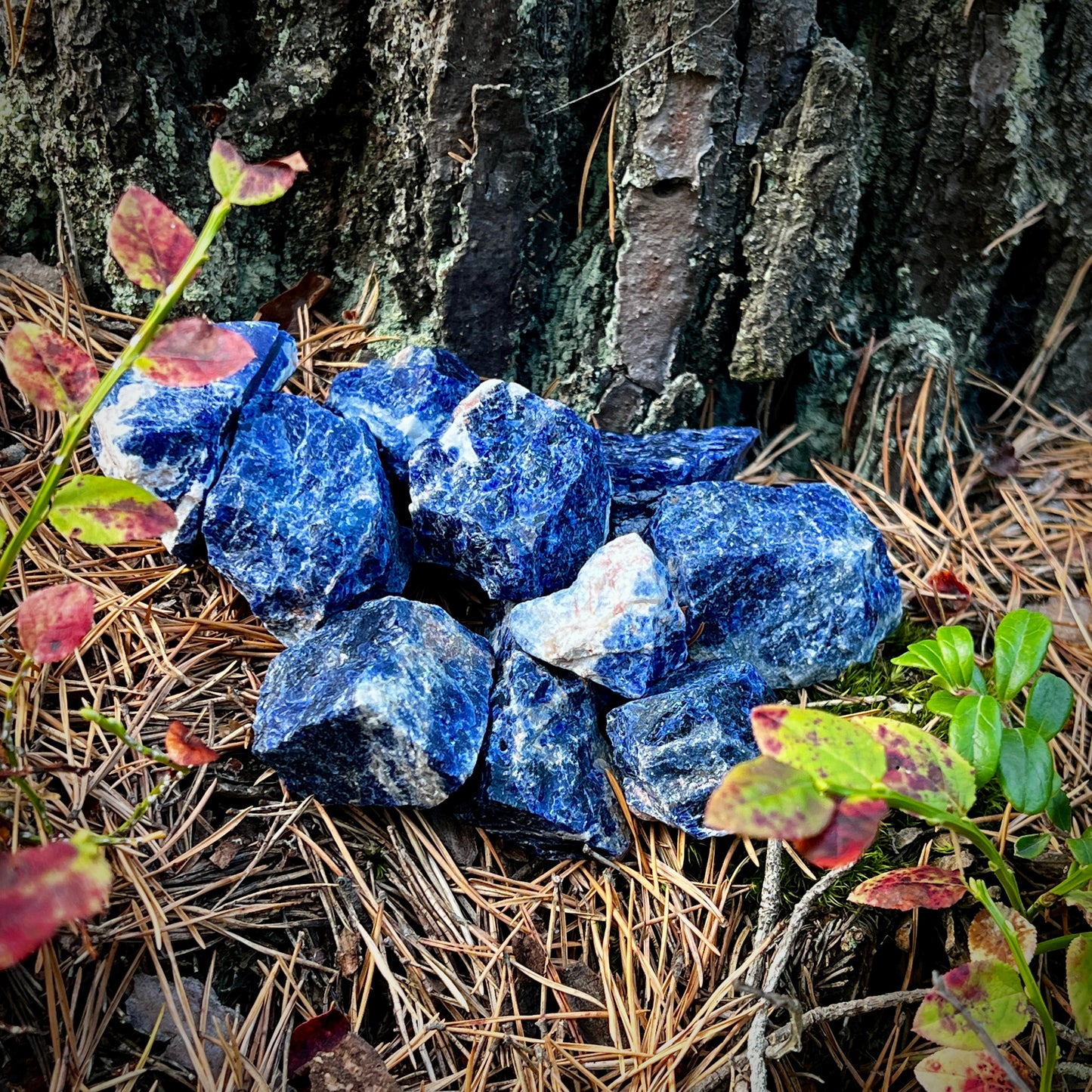 Sodalite, raw crystal