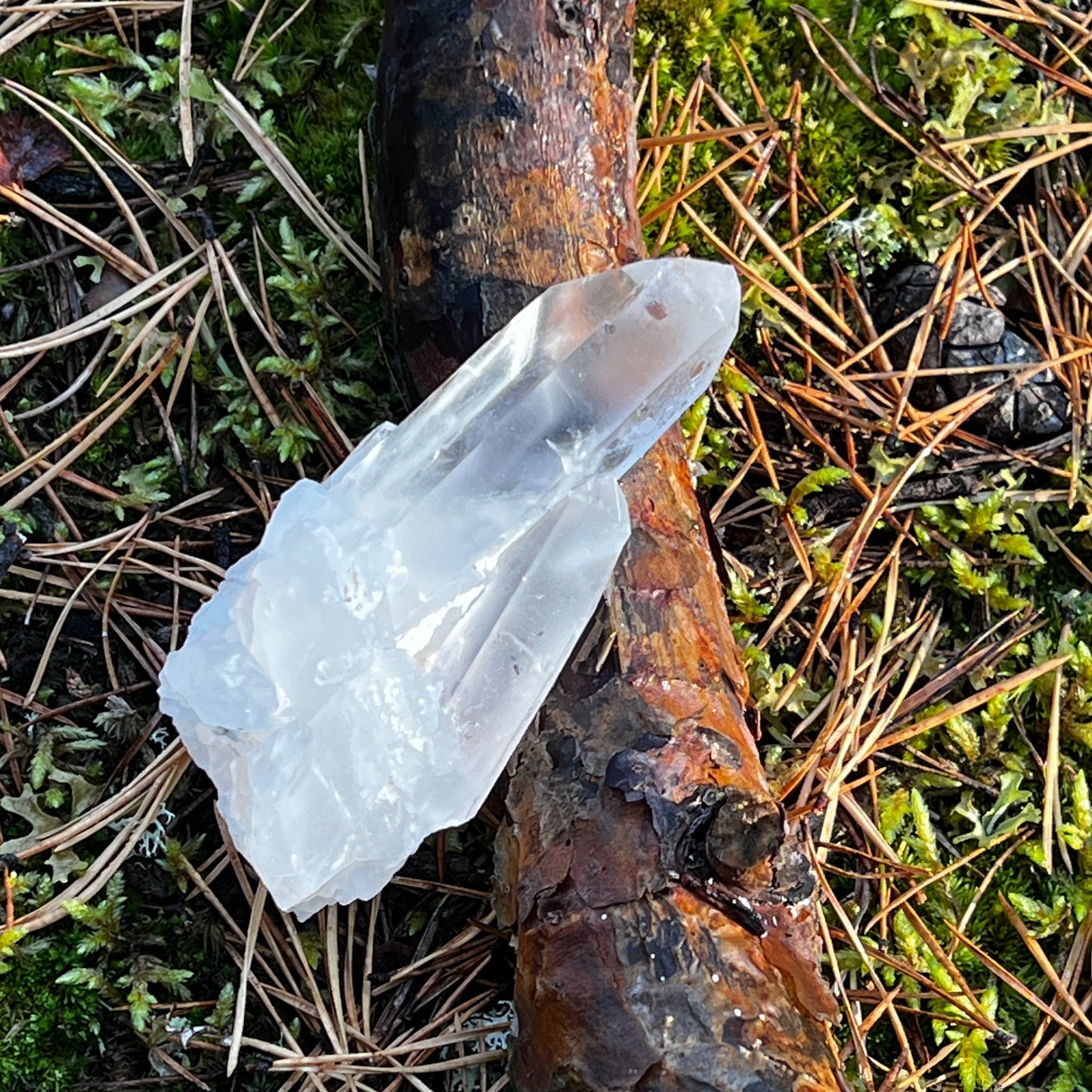 Clear Quartz Cluster