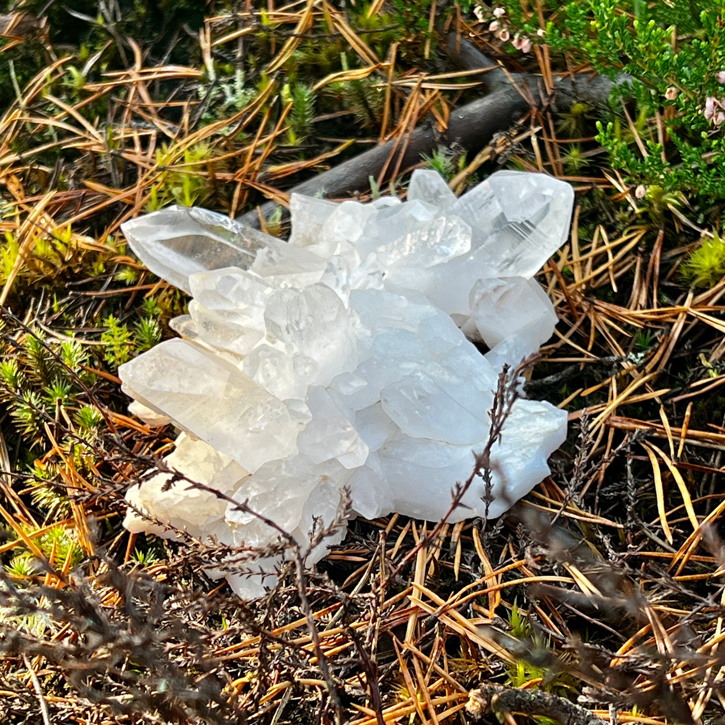 Clear Quartz Cluster