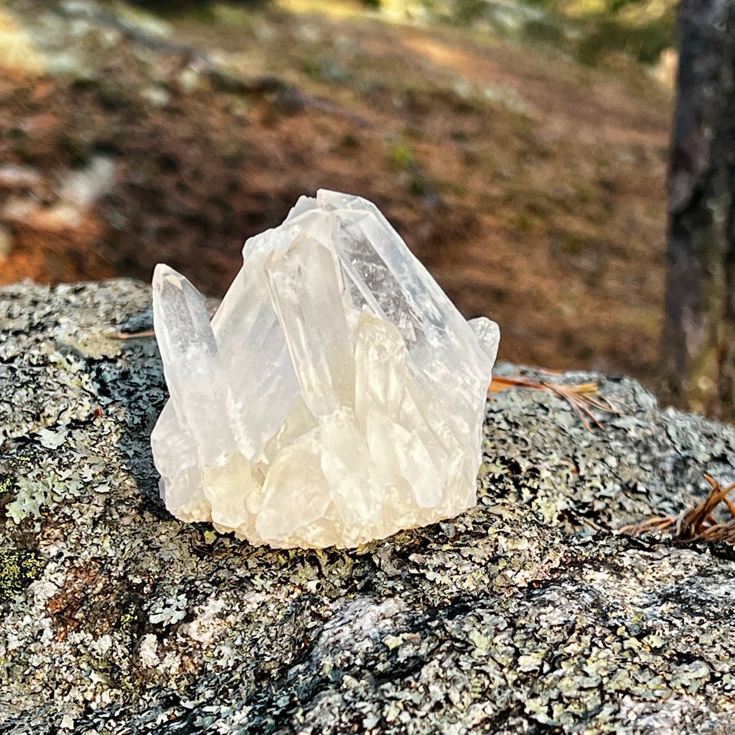 Clear Quartz Cluster