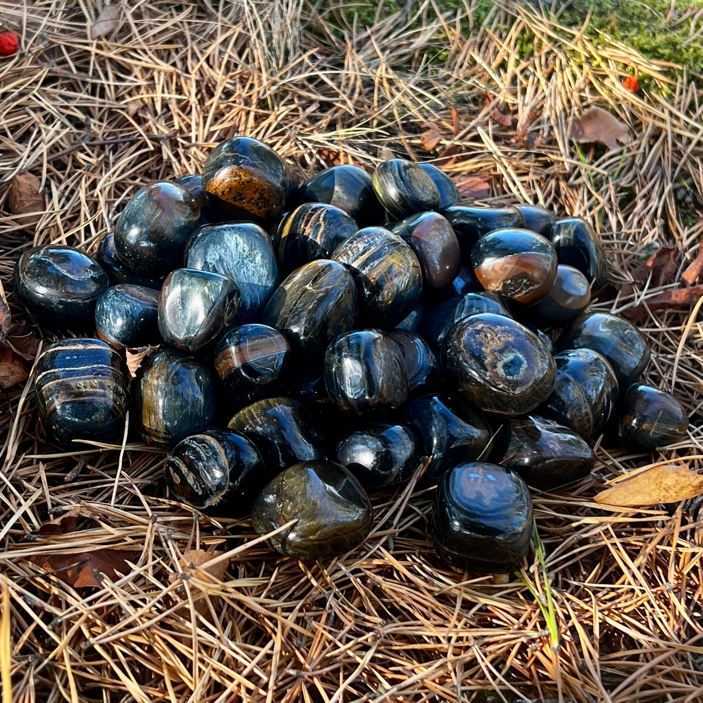 Blue tiger eye, tumbled