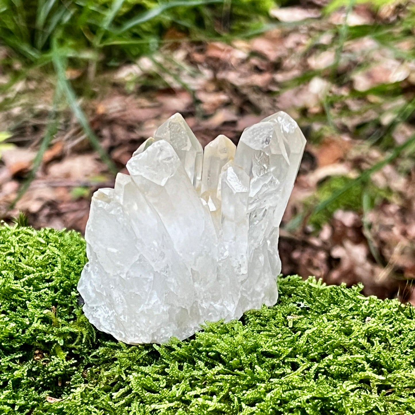 Clear Quartz Cluster