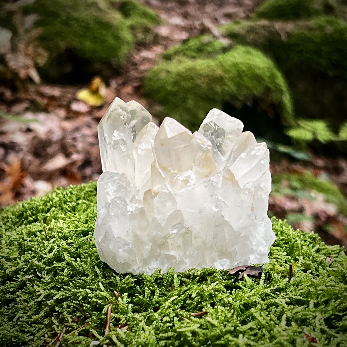 Clear Quartz Cluster